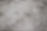 SBM_002541