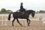 SBM_06310