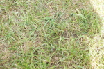 SBM_17624