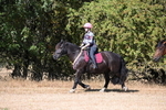 WJ6_7943