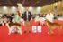 BEST OF BREED