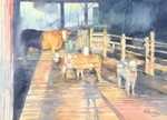 'Cattle House'