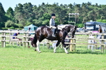 SBM_12113