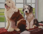 Kuddles and Malcolm
