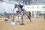 SBM_001313