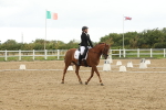SBM_009607