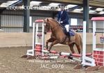 CLASS 4 Novice Show Jumping - (0.50m) portfolio