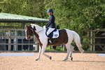 WJ6_7017