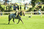 SBM_39105