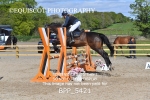 BPP_5421