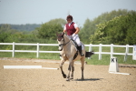 SBM_009516