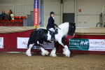 SBM_15381