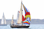 190629 CAPREOLUS 1170 D43A2525 1