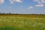 Kiskunság National Park, Hungary