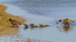 RSPB Minsmere 6May22-262