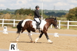SBM_000433
