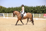 SBM_004011