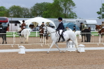 SBM_00225