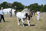 WJ6_4740
