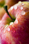 Apple - 5363