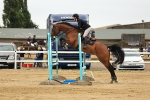 SBM_003723