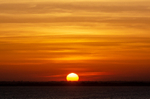 Golden Sunset