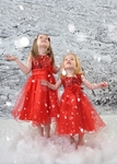 fun in the snow