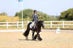 SBM_009194