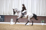 SBM_02465