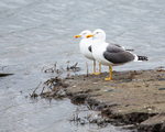 20140417-3K8A0193