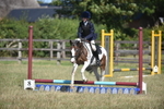 Ring 2 - Novice Jumping portfolio