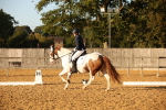 SBM_31491
