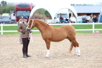 SBM_05899