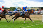 Race 4 15.45pm Hannah Blanchard 21st Birthday Handicap portfolio