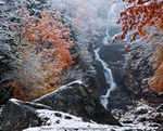 Silver & Snow I