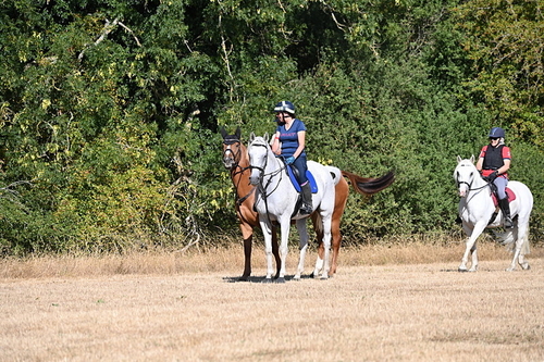WJ6_7179