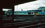 17th June 1991