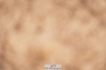 240628A-180650-00638
