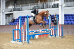 SBM_007719