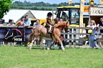 SBM_05850
