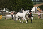 SBM_09258