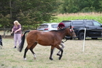 WJ6_6181