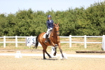 SBM_010493