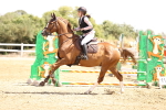 SBM_000713