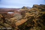 The Sideways Tree and the Cleet