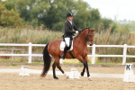 SBM_001355