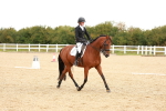 SBM_002337