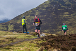Coledale-1011