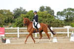 SBM_007523