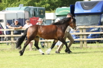 SBM_02064
